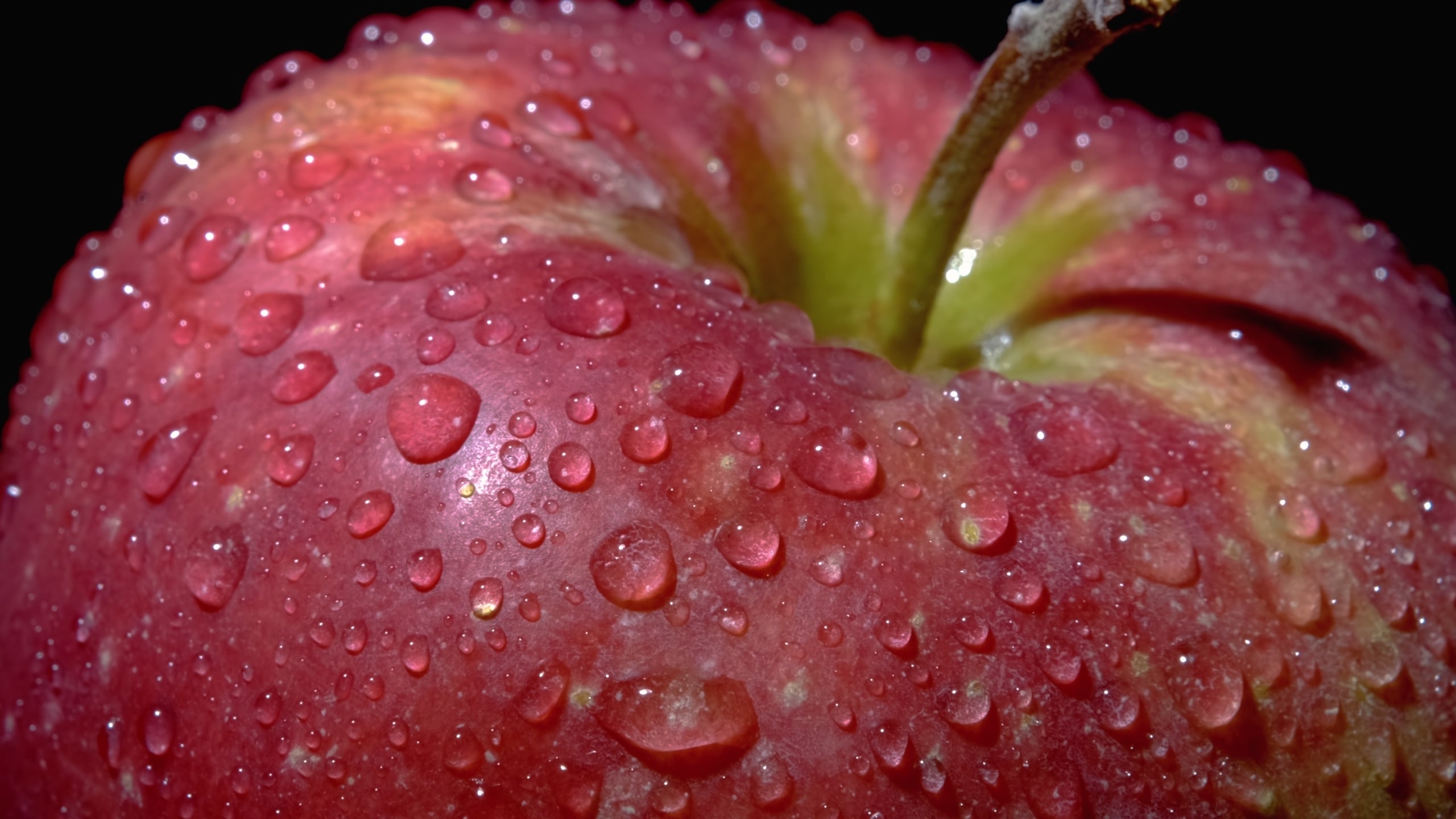 stock-photo-the-apple-fruit-freshness-and-health-1062763921